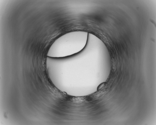 X0000094210378200710260938