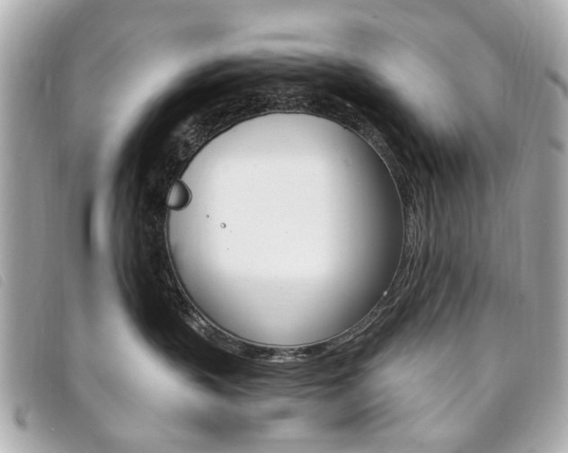 X0000094210383200710260938
