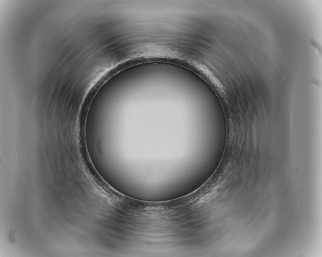 X0000094210391200710260938