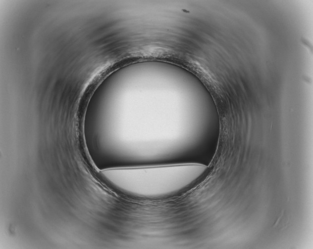 X0000094210392200710260938
