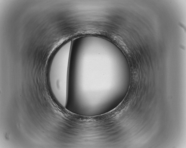 X0000094210395200710260937