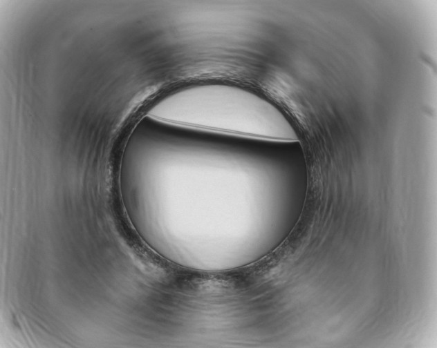 X0000094210400200710260937