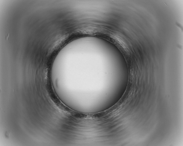 X0000094210404200710260937