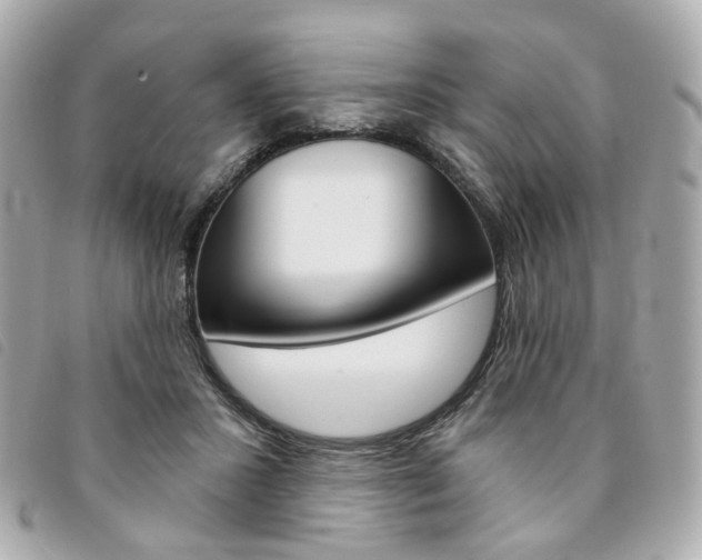 X0000094210407200710260937