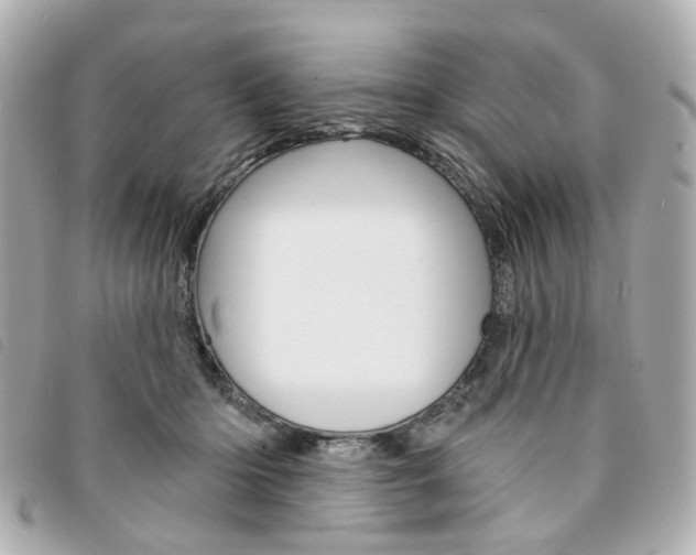 X0000094210414200710260937
