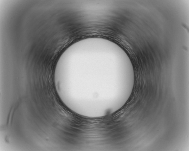 X0000094210419200710260937