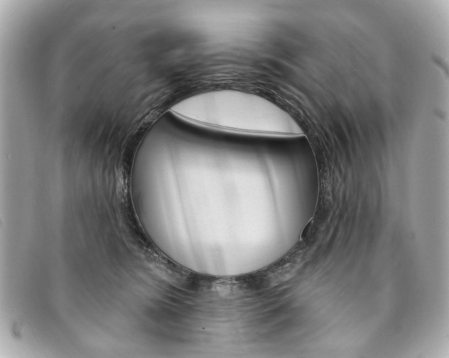 X0000094210420200710260937