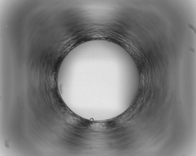 X0000094210422200710260937