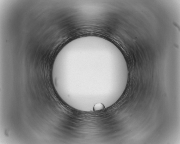 X0000094210423200710260937