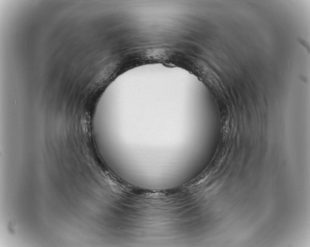 X0000094210424200710260937