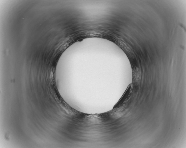 X0000094210427200710260937