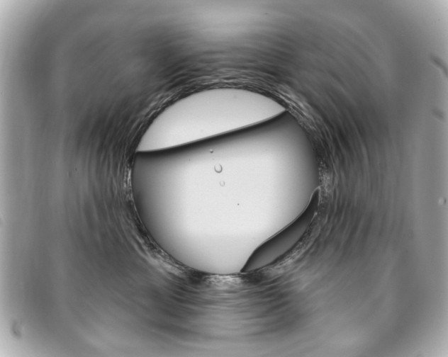 X0000094210429200710260937