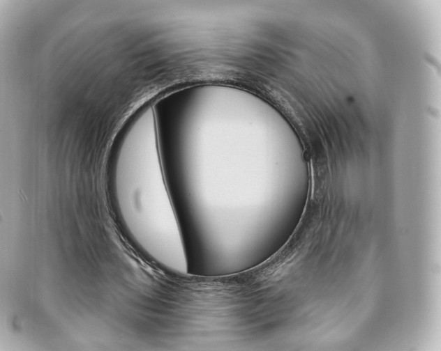 X0000094210435200710260936