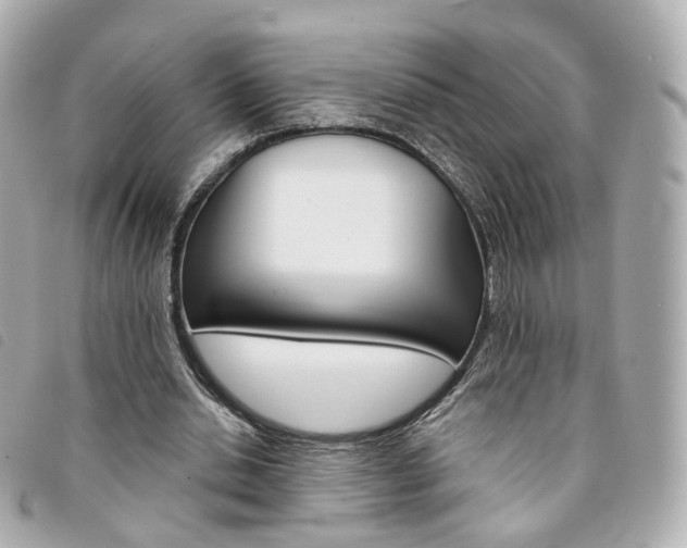 X0000094210438200710260936