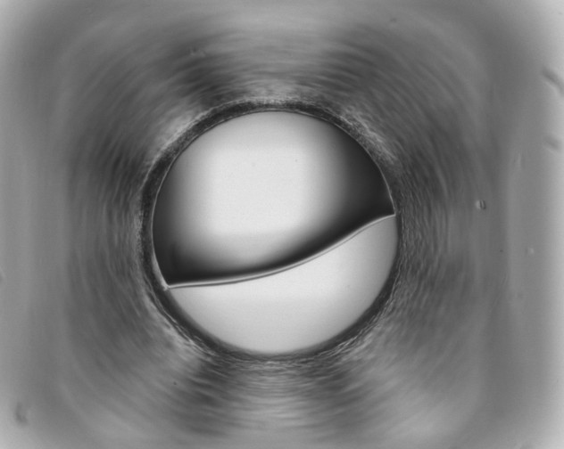 X0000094210440200710260936