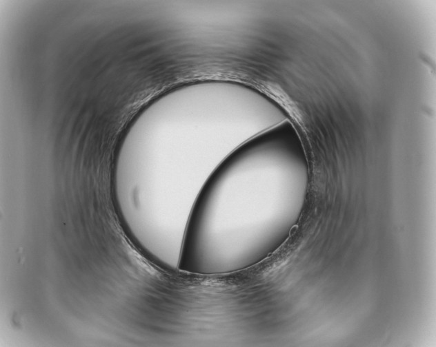 X0000094210441200710260936