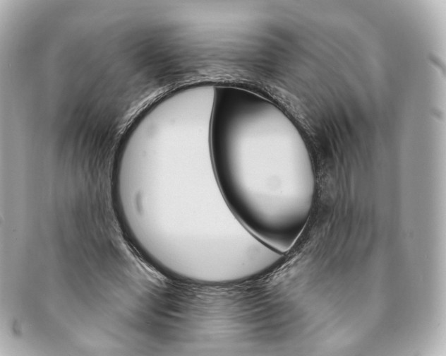 X0000094210442200710260936