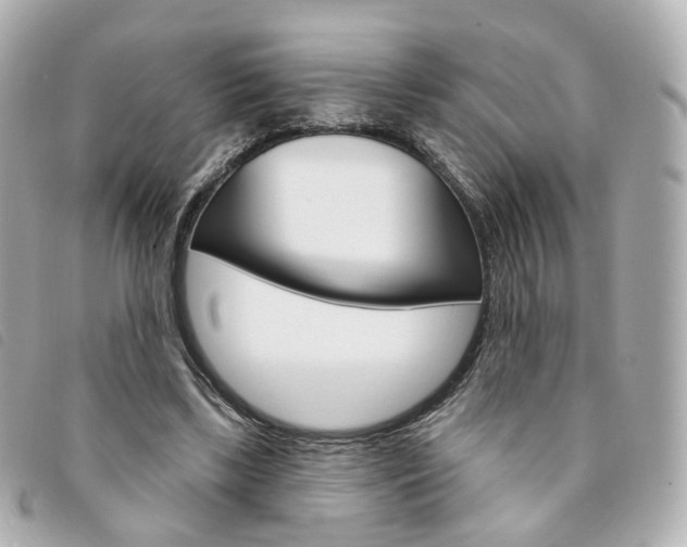 X0000094210443200710260936