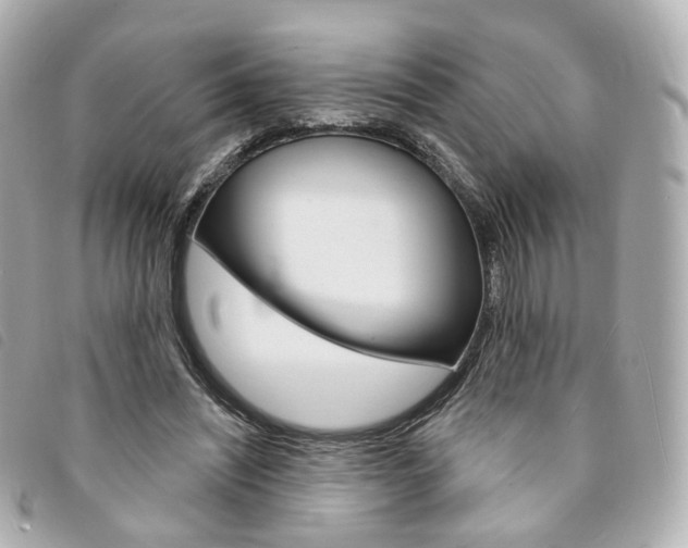 X0000094210444200710260936