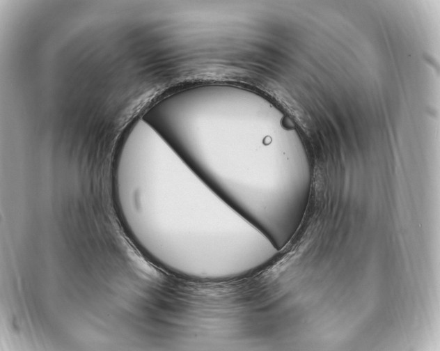 X0000094210445200710260936