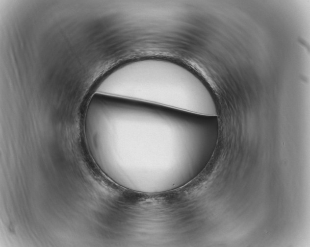 X0000094210447200710260936