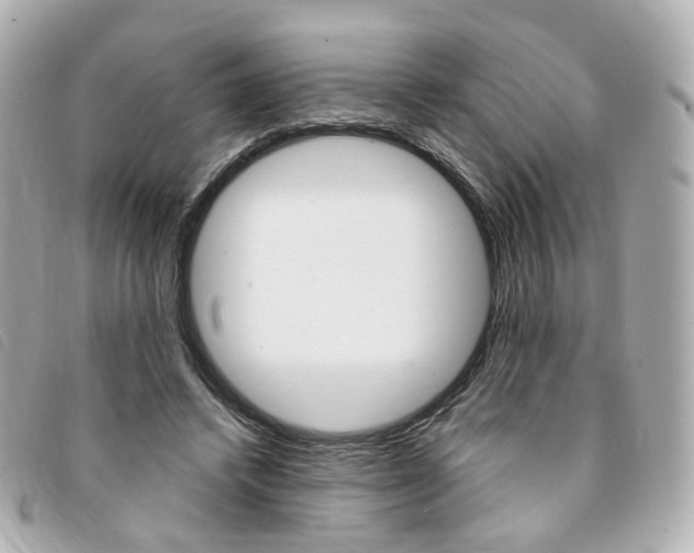 X0000094210448200710260936