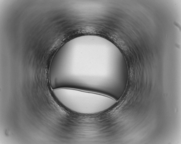 X0000094210449200710260936