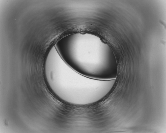 X0000094210450200710260936