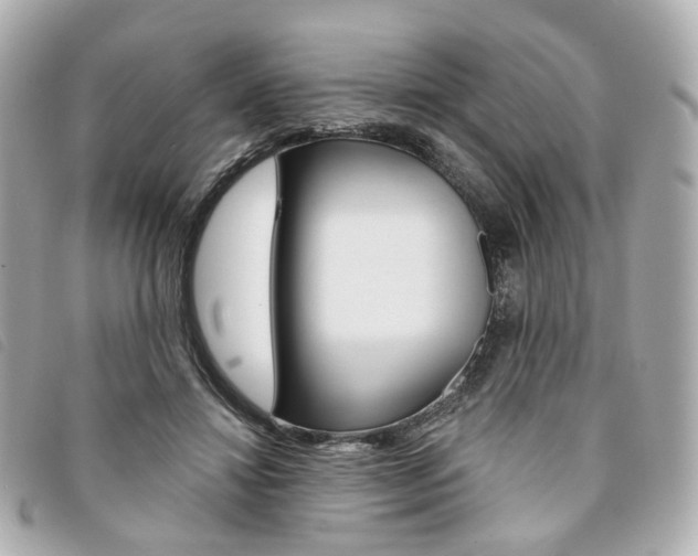 X0000094210452200710260937