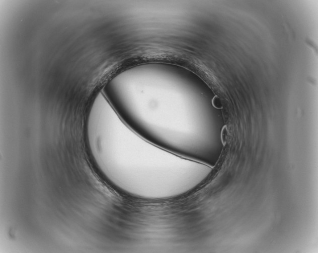 X0000094210454200710260937