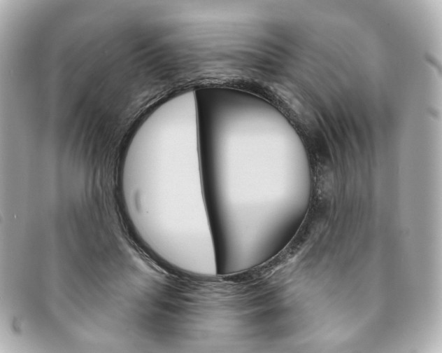 X0000094210455200710260937