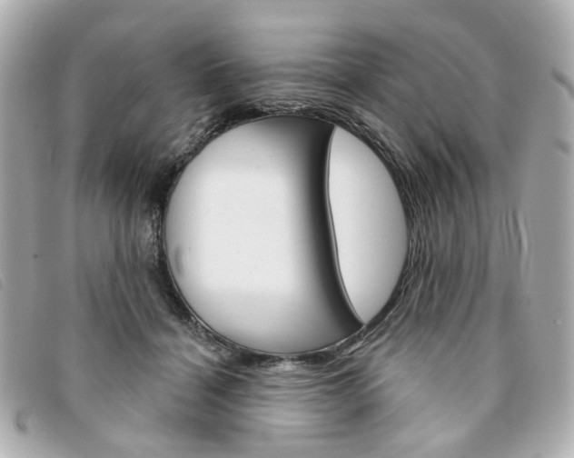 X0000094210460200710260937