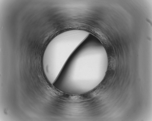X0000094210461200710260937