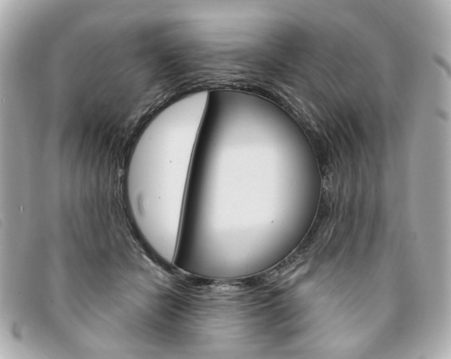 X0000094210462200710260937