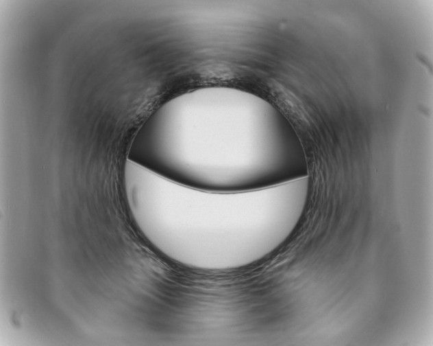 X0000094210463200710260937