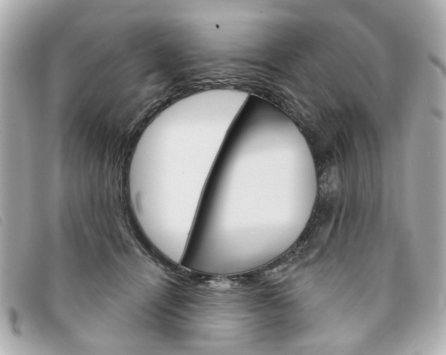 X0000094210464200710260937