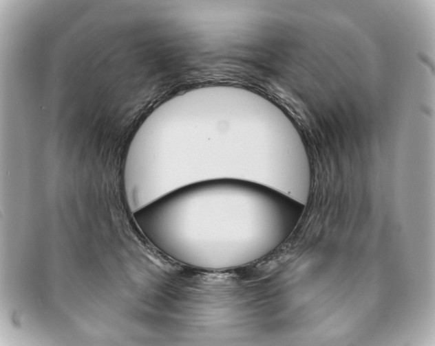 X0000094210465200710260937