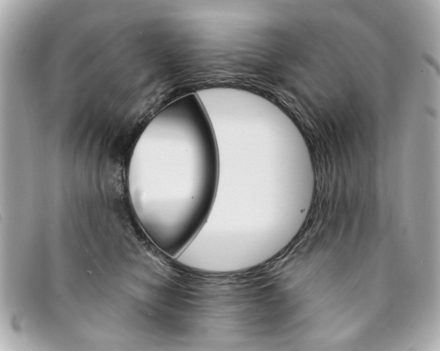 X0000094210470200710260937