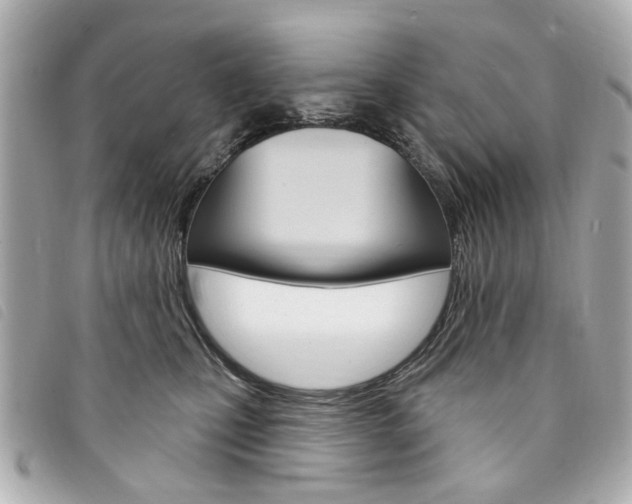 X0000094210471200710260937