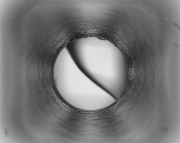 X0000094210472200710260937