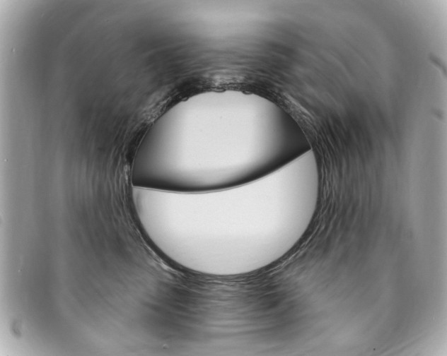 X0000094210475200710260937