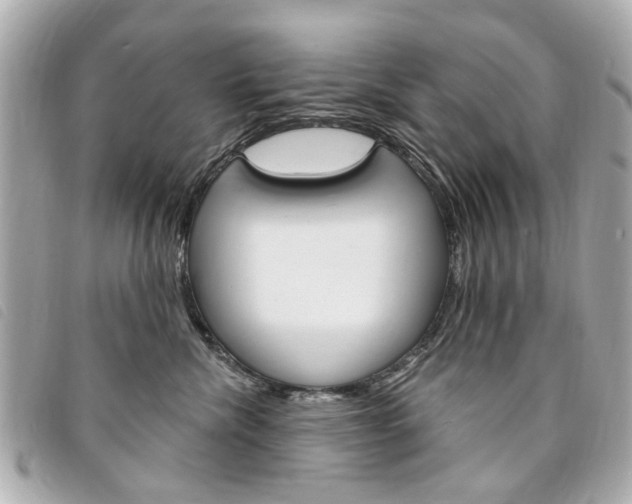 X0000094210476200710260937