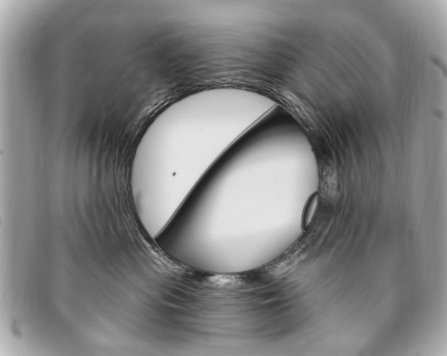 X0000094210477200710260937