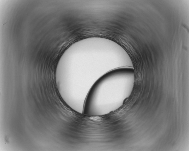 X0000094210478200710260937