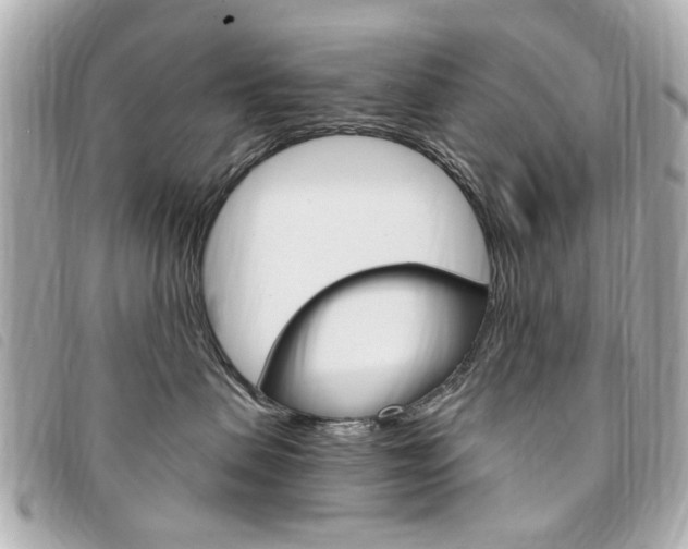 X0000094210479200710260937