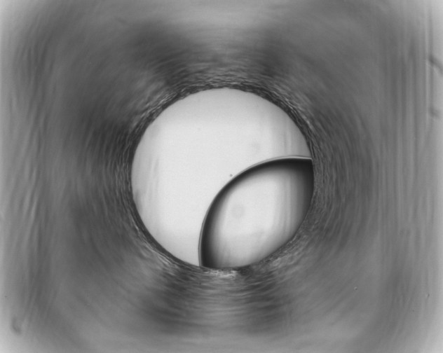 X0000094210480200710260937
