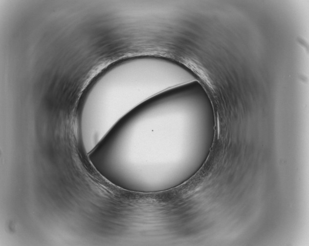 X0000094210483200710260936