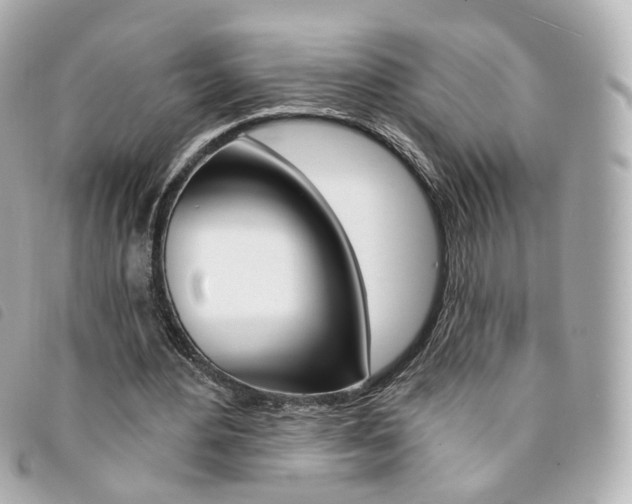 X0000094210484200710260936