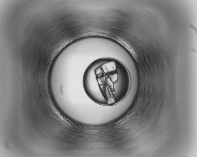 X0000094210485200710260936