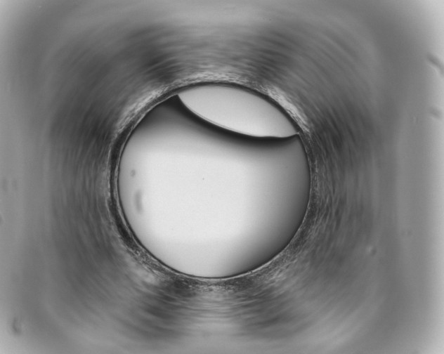 X0000094210486200710260936